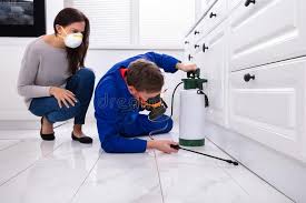 Best Real Estate Pest Inspections  in Demopolis, AL